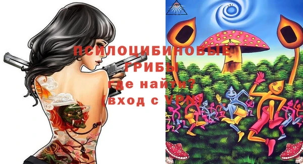 а пвп мука Абаза