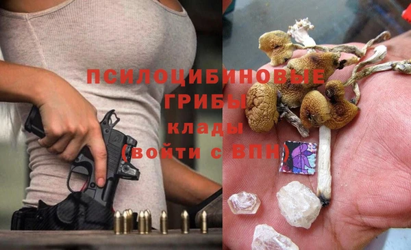 ГАЛЛЮЦИНОГЕННЫЕ ГРИБЫ Лагань