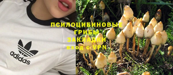 ECSTASY Абдулино