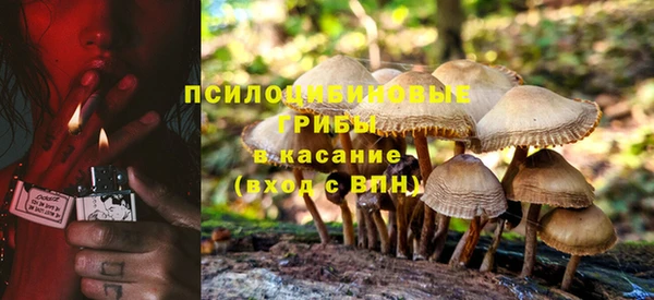 а пвп мука Абаза
