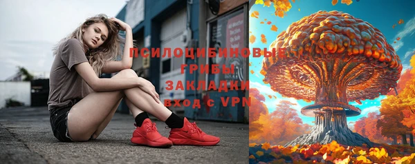 а пвп мука Абаза