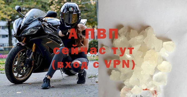 стаф Лабытнанги