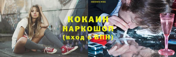 ГАЛЛЮЦИНОГЕННЫЕ ГРИБЫ Лагань